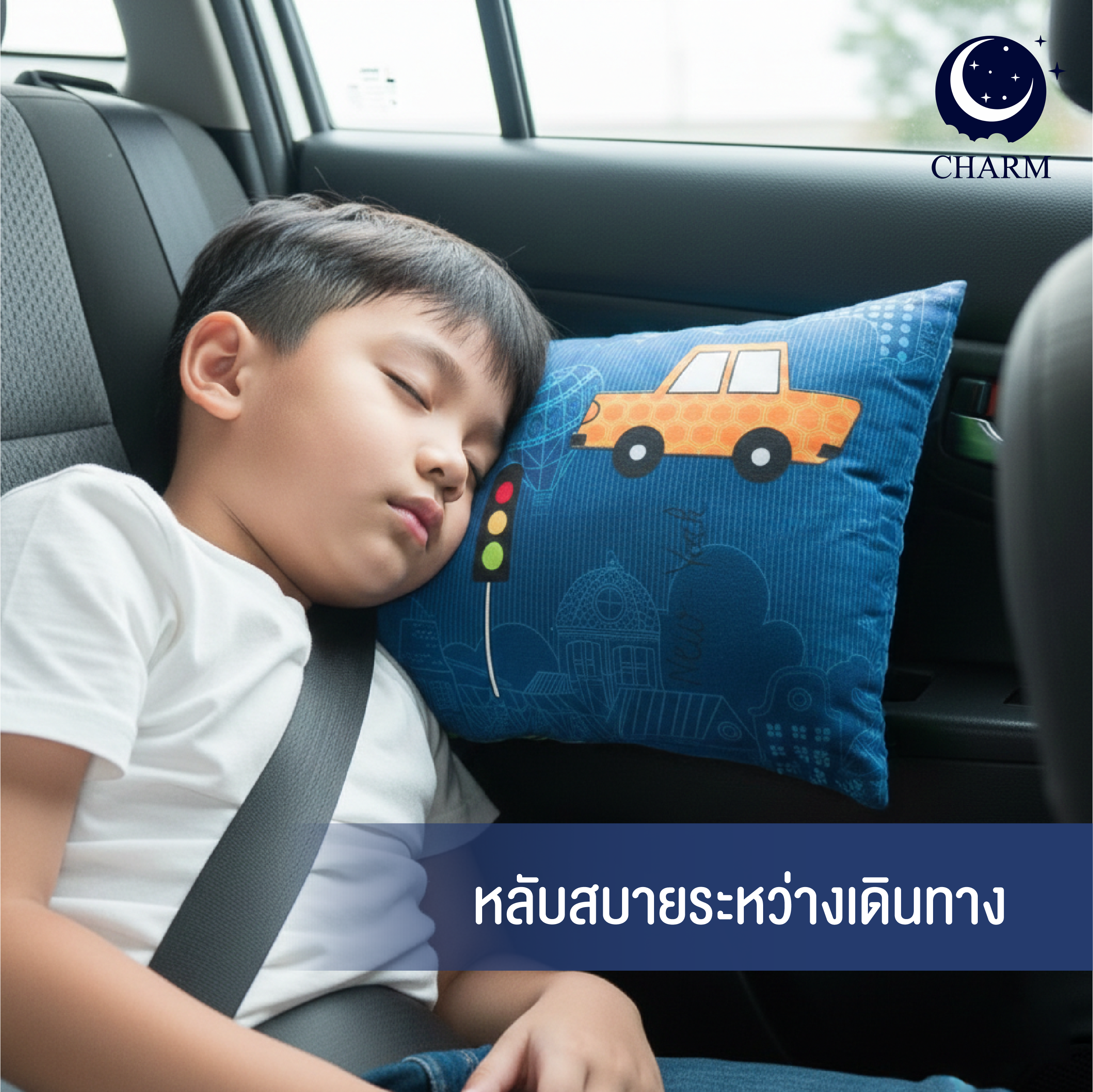 หมอน CHARM 1 ใบ (คละลาย) หมอนอเนกประสงค์ 35X50 ซม._10